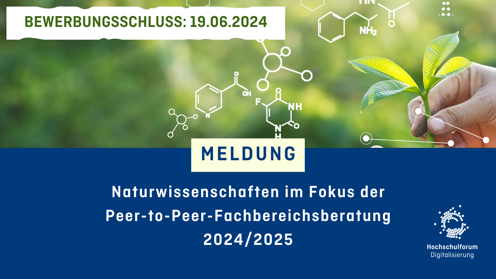 Naturwissenschaften im Fokus der Peer-to-Peer-Fachbereichsberatung 2024/2025
